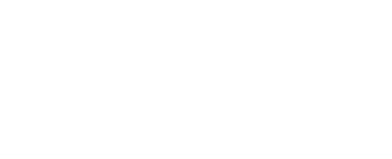 Quies Logo